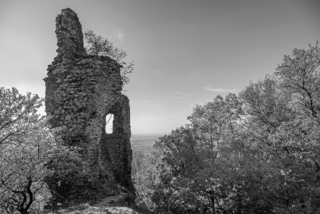 DSC_8560