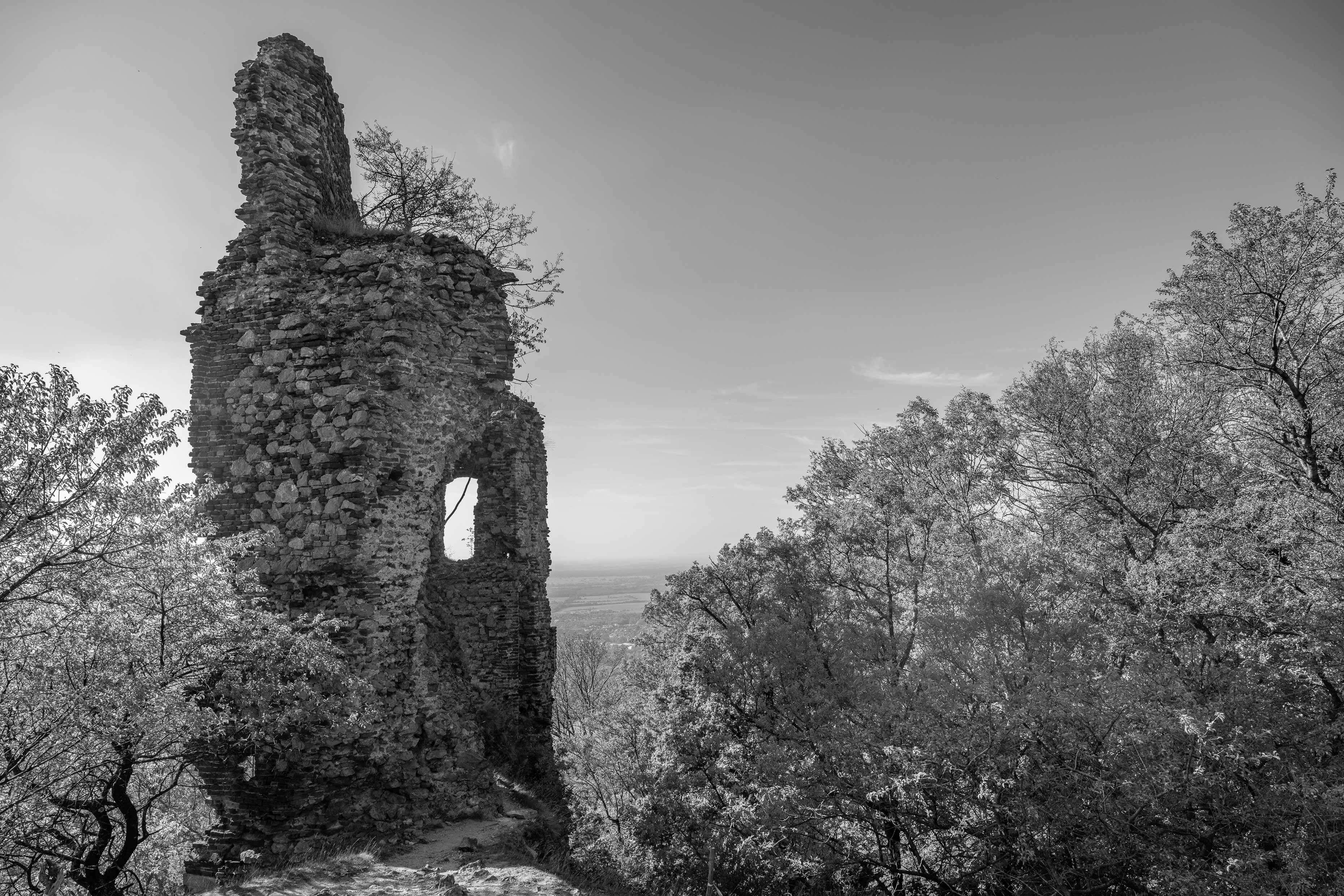 DSC_8560
